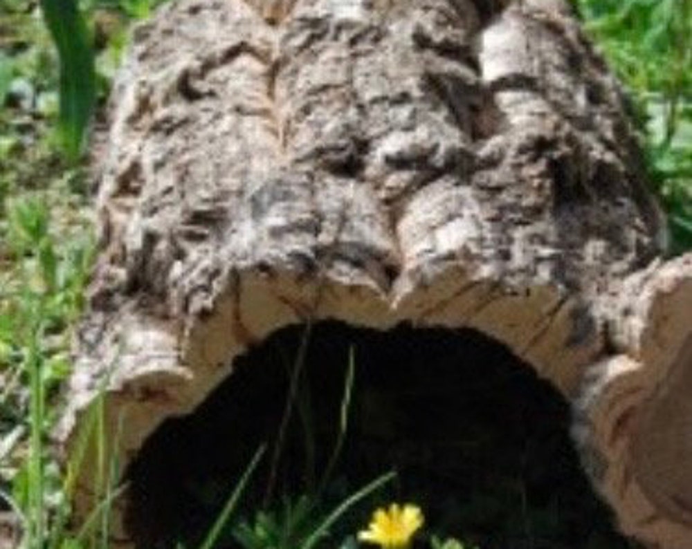 Cork Tube (30cm/unit)