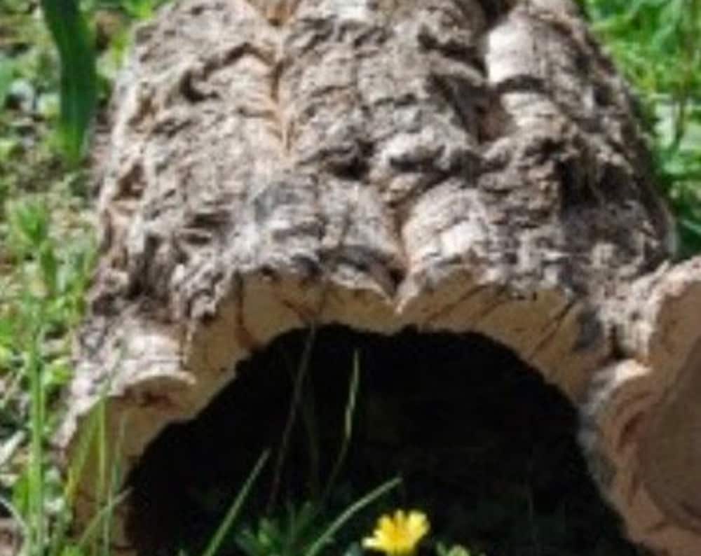Cork Tube (60cm/unit)