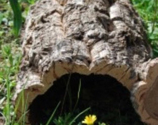 Cork Tube (30cm/unit)