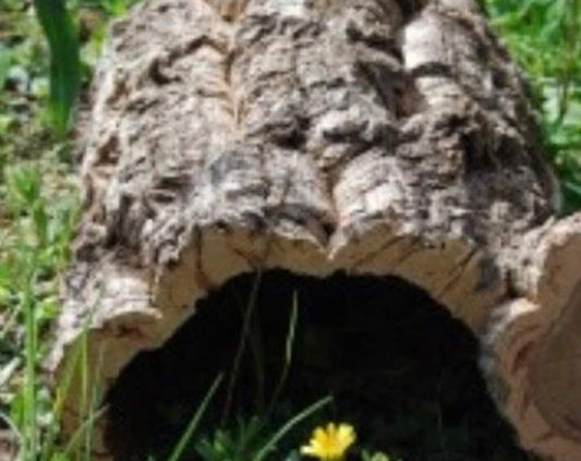Cork Tube (60cm/unit)